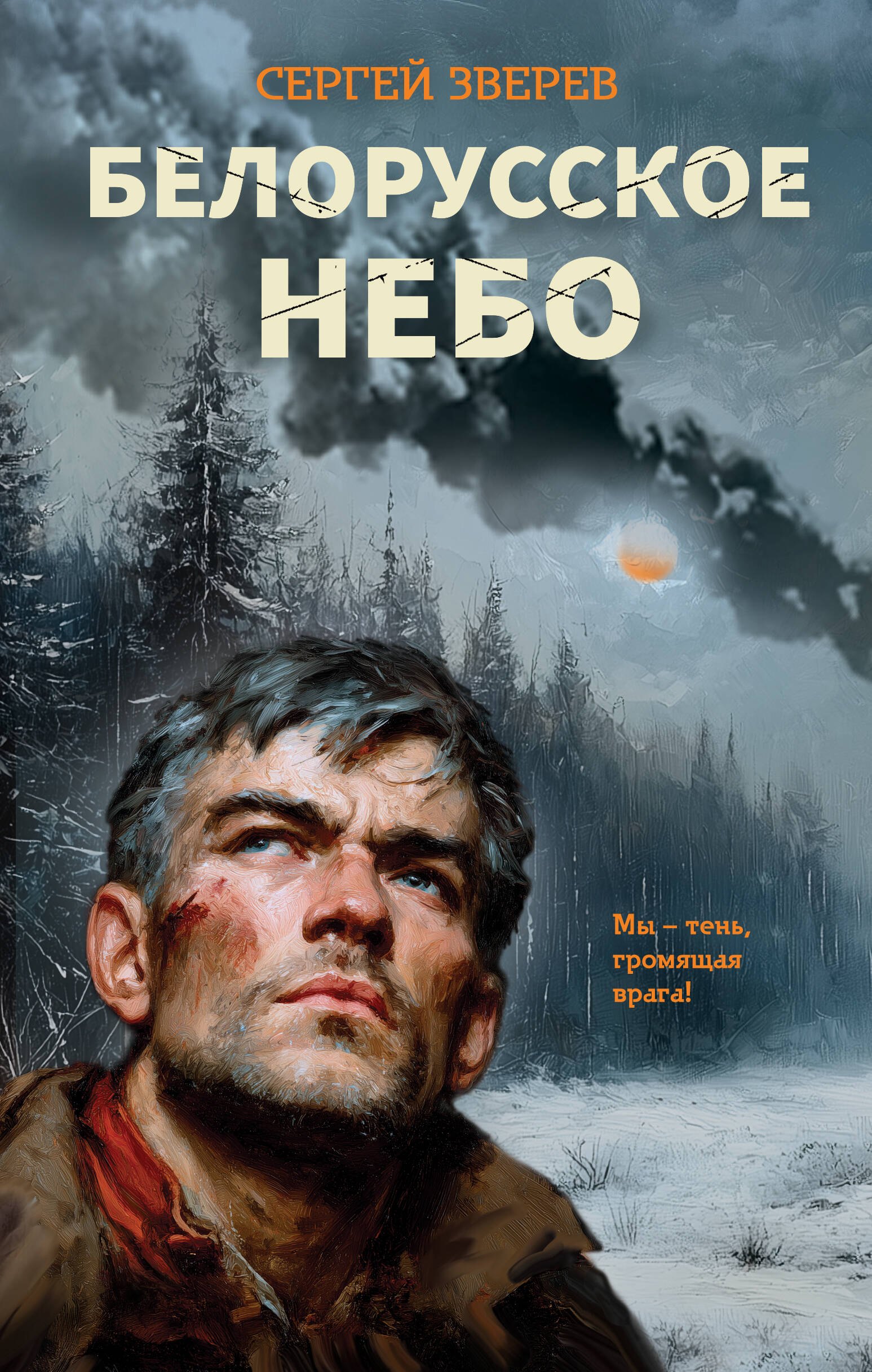 

Белорусское небо