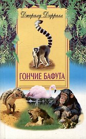 Гончие Бафута