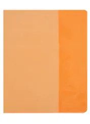 Обложка для тетрадей "Neon" оранжевая