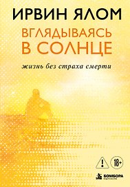 Вглядываясь в солнце. Жизнь без страха смерти