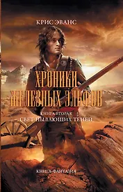 Хроники железных эльфов. Кн. 2. Свет пылающих теней: роман