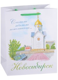ГС Пакет Новосибирск 18*23*8 (бумага)