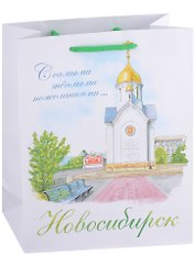 ГС Пакет Новосибирск 18*23*8 (бумага)