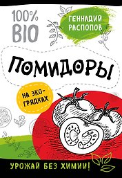 Помидоры на эко грядках. Урожай без химии