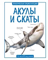 Акулы и скаты