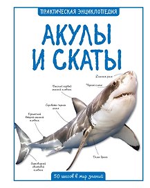 Акулы и скаты