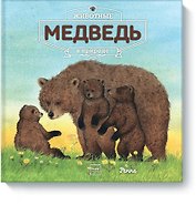Животные в природе. Медведь