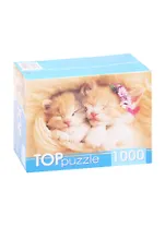 Пазл Два спящих котенка TOPpuzzle 1000 элементов ГИТП1000-2142