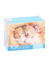 Пазл «Два спящих котёнка» 1000 элементов, TOP Puzzle