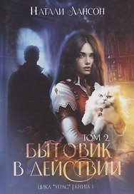 Бытовик в действии. Том 2