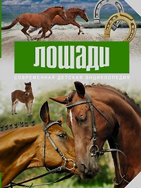 Лошади