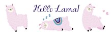 Пенал бензиновый. Hello llama
