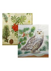 Набор для творчества, Набор салфеток для декупажа, Сова (0300 И/2829 О) (6/900002505860)