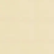 Бумага для пастели 50*65 "Tiziano" 160г/м2 №40 бледно-кремовый, Fabriano