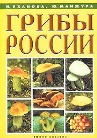 Грибы России