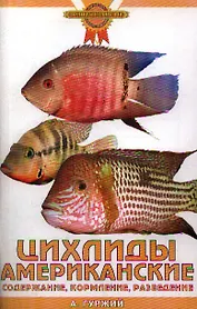 Цихлиды американские. Содержание