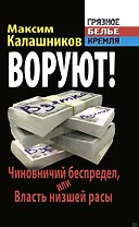 ВОРУЮТ! Чиновничий беспредел, или Власть низшей расы