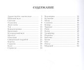 Здравствуйте, насекомые - 1