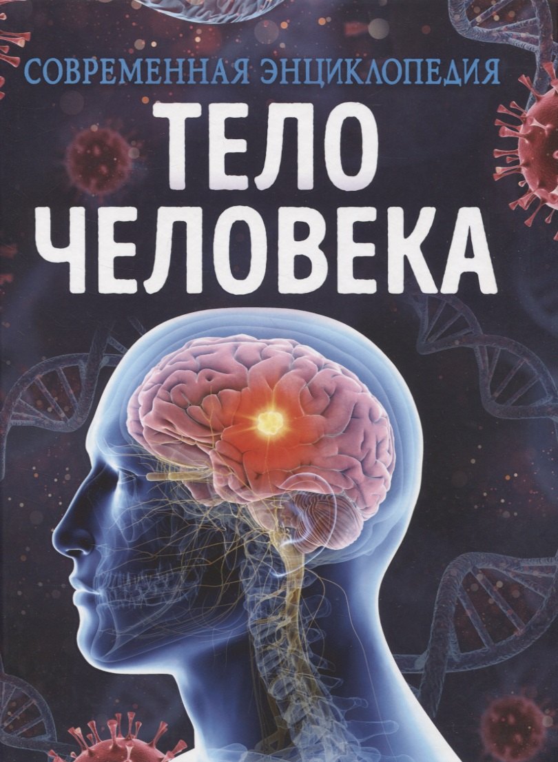 

Тело человека