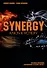 Синергия. Ключ к успеху - 0