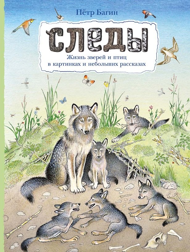 

Следы