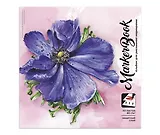 Скетчбук для маркеров "АНЕМОН", 19.5 х 19.5 см, 40 листов