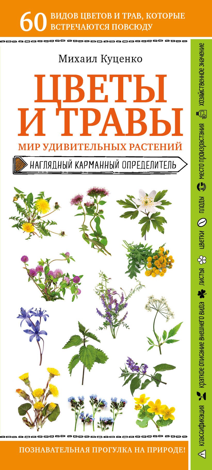 

Цветы и травы. Мир удивительных растений. Наглядный карманный определитель
