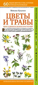 Цветы и травы. Мир удивительных растений. Наглядный карманный определитель