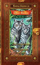 Лес секретов. Бушующая стихия