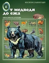 От медведя до ежа Звери Европы и России (мМПЭ) (Оникс)