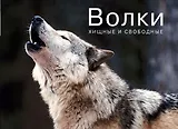 Волки. Хищные и свободные