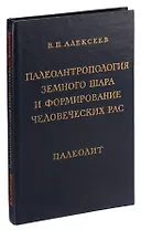 Палеоантропология земного шара и формирование человеческих рас. Палеолит