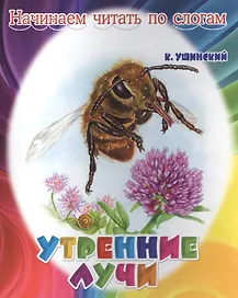 Утренние лучи