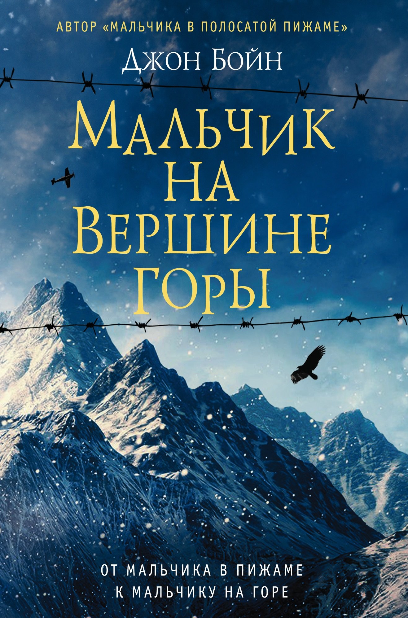 

Мальчик на вершине горы