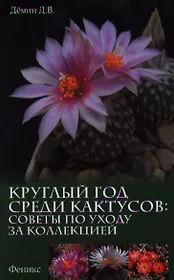 Круглый год среди кактусов:советы по уходу