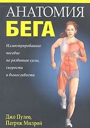 Анатомия бега