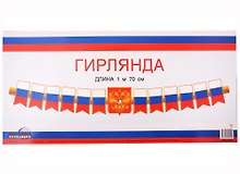 Гирлянда патриотическая с Российской с символикой, Сфера образования