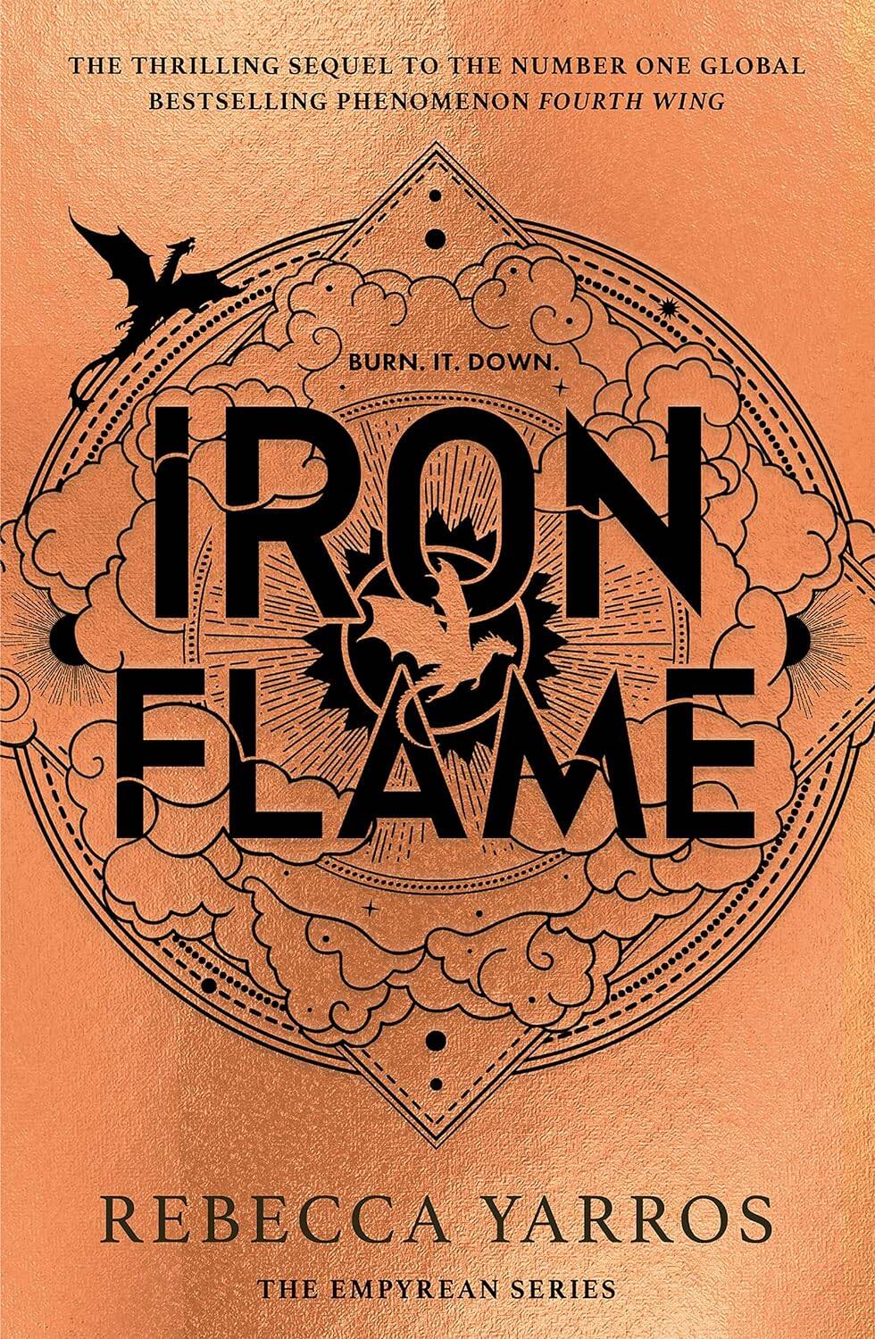 Обложка книги «Iron Flame»