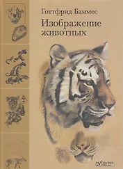 Изображение животных