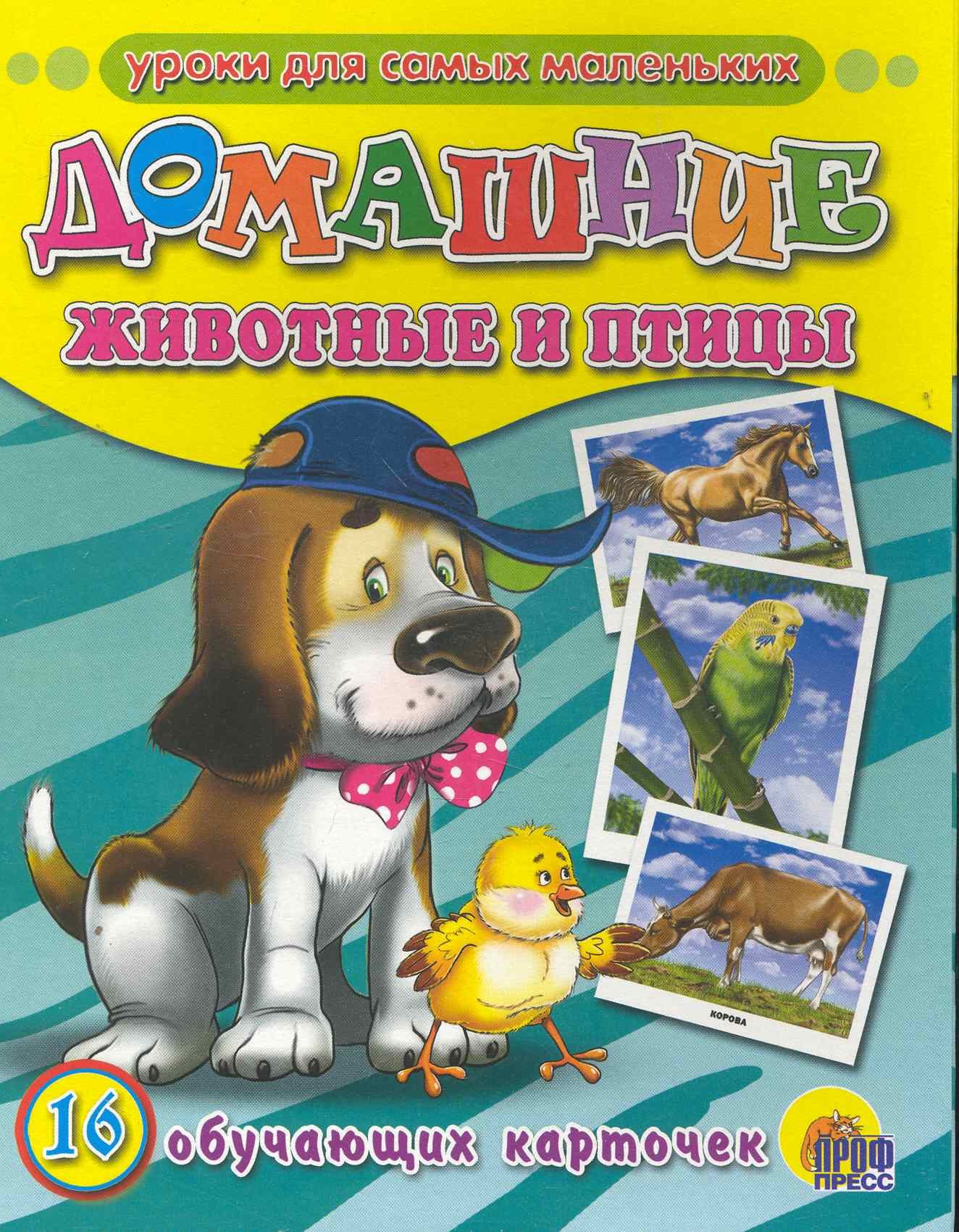 

Домашние животные и птицы /16 обучающих карточек