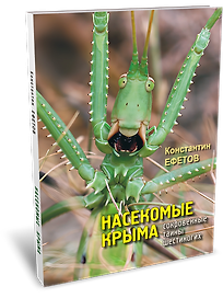Насекомые Крыма. Сокровенные тайны шестиногих
