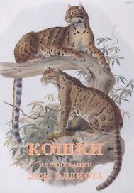 Кошки (илл. Эллиота) (набор открыток) (папка)