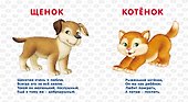 Книжки-картонки. Домашние животные - 1