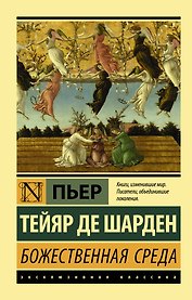 Божественная среда