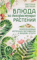 Блюда из дикорастущих растений. Неиссякаемый источник витаминов к вашему столу