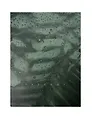 Тетрадь А4 120л кл. "Dark fern" мел.картон повыш. кач-ва, мат.ламинация, ассорти