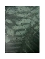 Тетрадь А4 120л кл. "Dark fern" мел.картон повыш. кач-ва, мат.ламинация, ассорти