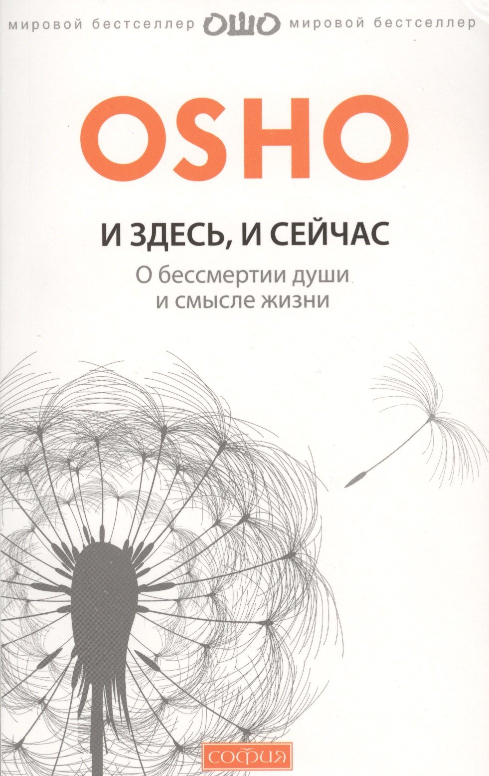 

И здесь и сейчас: О бессмертии души и смысле жизни
