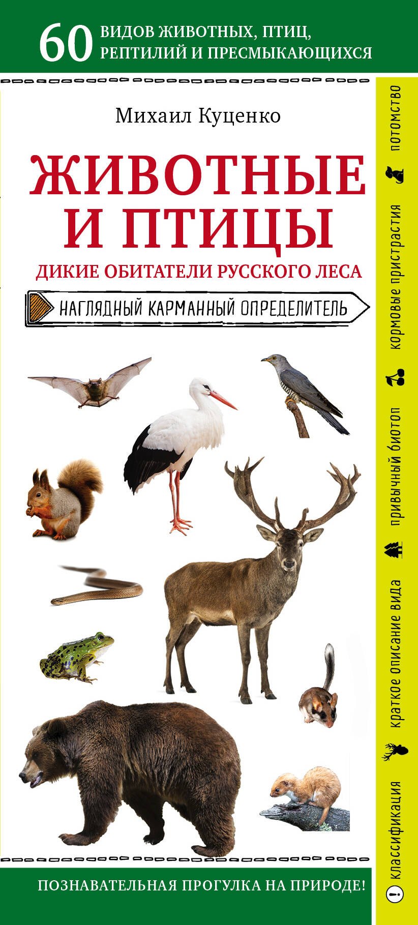 

Животные и птицы. Дикие обитатели русского леса. Наглядный карманный определитель