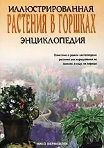 Растения в горшках
